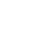 Icon skill